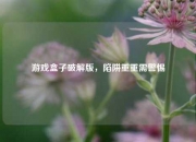 游戏盒子破解版，陷阱重重需警惕