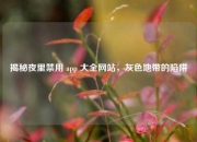 揭秘夜里禁用 app 大全网站，灰色地带的陷阱
