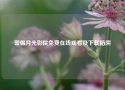 警惕月光影院免费在线观看及下载陷阱