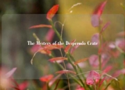 The Mystery of the Desperado Crate