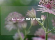 Fate/stay night 游戏下载全解析