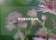 探寻魔笛使者皮特