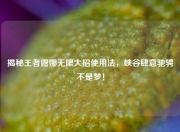 揭秘王者露娜无限大招使用法，峡谷肆意驰骋不是梦！