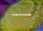 开启高达世界热血冒险