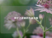 死亡之息里的生命之悟