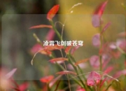 凌霄飞剑破苍穹