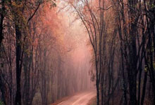 质量效应2图文攻略,开启宇宙冒险之旅