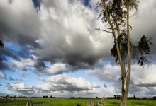 侠盗猎魔2图文攻略，畅玩暗黑世界指南