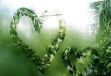 质量效应2图文攻略，开启宇宙冒险之旅