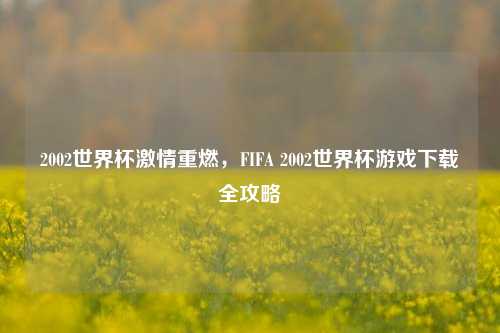 2002世界杯激情重燃,FIFA 2002世界杯游戏下载全攻略