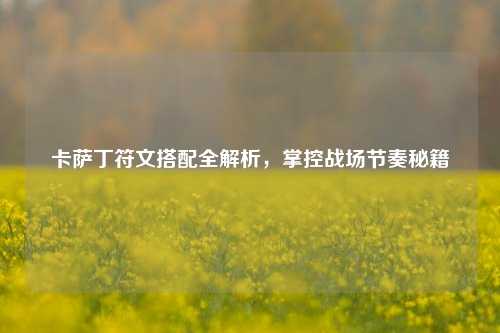 卡萨丁符文搭配全解析,掌控战场节奏秘籍