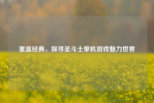 重温经典，探寻圣斗士单机游戏魅力世界