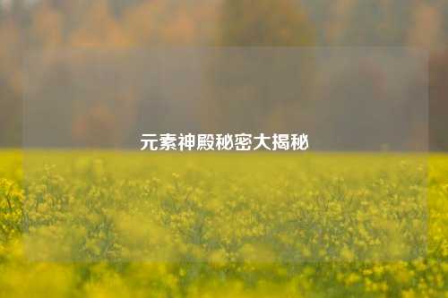 元素神殿秘密大揭秘