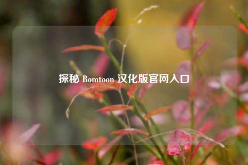 探秘 Bomtoon 汉化版官网入口