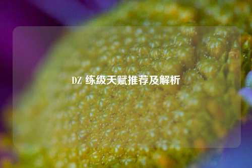 DZ 练级天赋推荐及解析