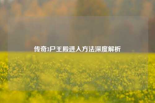 传奇3尸王殿进入方法深度解析