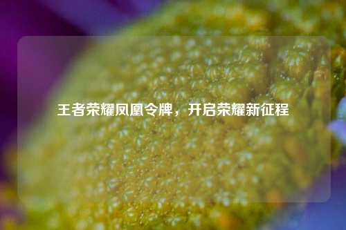 王者荣耀凤凰令牌,开启荣耀新征程
