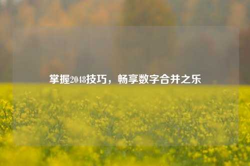 掌握2048技巧,畅享数字合并之乐