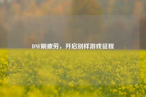 DNF刷疲劳,开启别样游戏征程