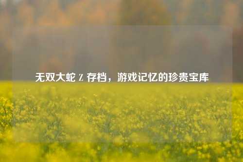 无双大蛇 Z 存档,游戏记忆的珍贵宝库
