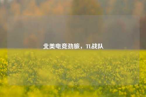 北美电竞劲旅,TL战队