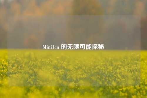 Mini1cn 的无限可能探秘