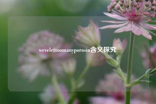 wevelettoomanyporosin含义探究