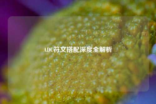 ADC符文搭配深度全解析
