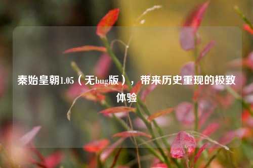 秦始皇朝1.05（无bug版），带来历史重现的极致体验