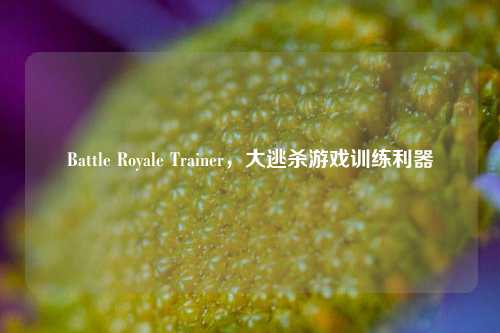 Battle Royale Trainer，大逃杀游戏训练利器