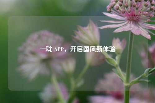 一耽 APP，开启国风新体验
