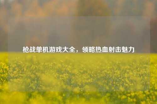 枪战单机游戏大全,领略热血射击魅力