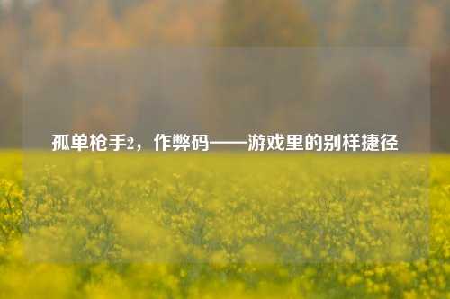 孤单枪手2,作弊码——游戏里的别样捷径
