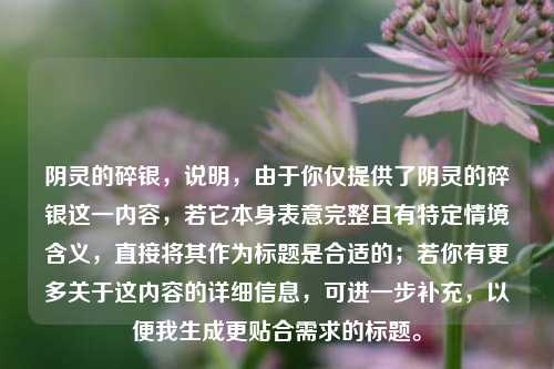 阴灵的碎银，说明，由于你仅提供了阴灵的碎银这一内容，若它本身表意完整且有特定情境含义，直接将其作为标题是合适的；若你有更多关于这内容的详细信息，可进一步补充，以便我生成更贴合需求的标题。