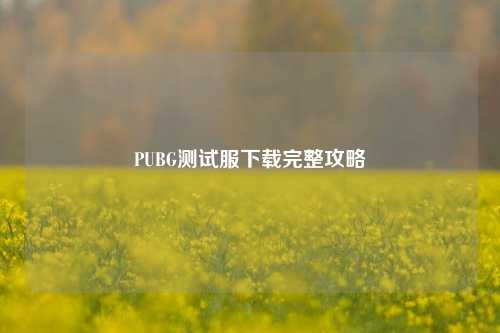 PUBG测试服下载完整攻略