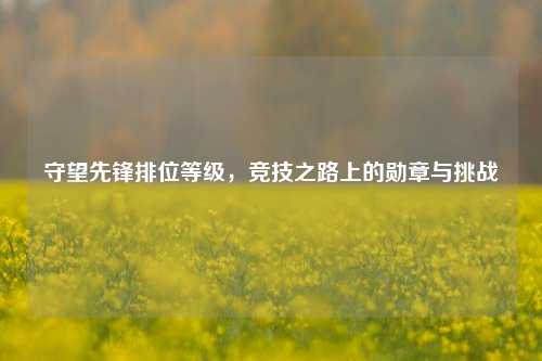 守望先锋排位等级，竞技之路上的勋章与挑战