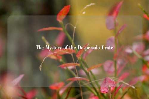 The Mystery of the Desperado Crate