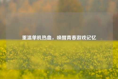 重温单机热血，唤醒青春游戏记忆