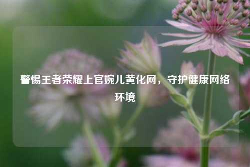 警惕王者荣耀上官婉儿黄化网，守护健康网络环境